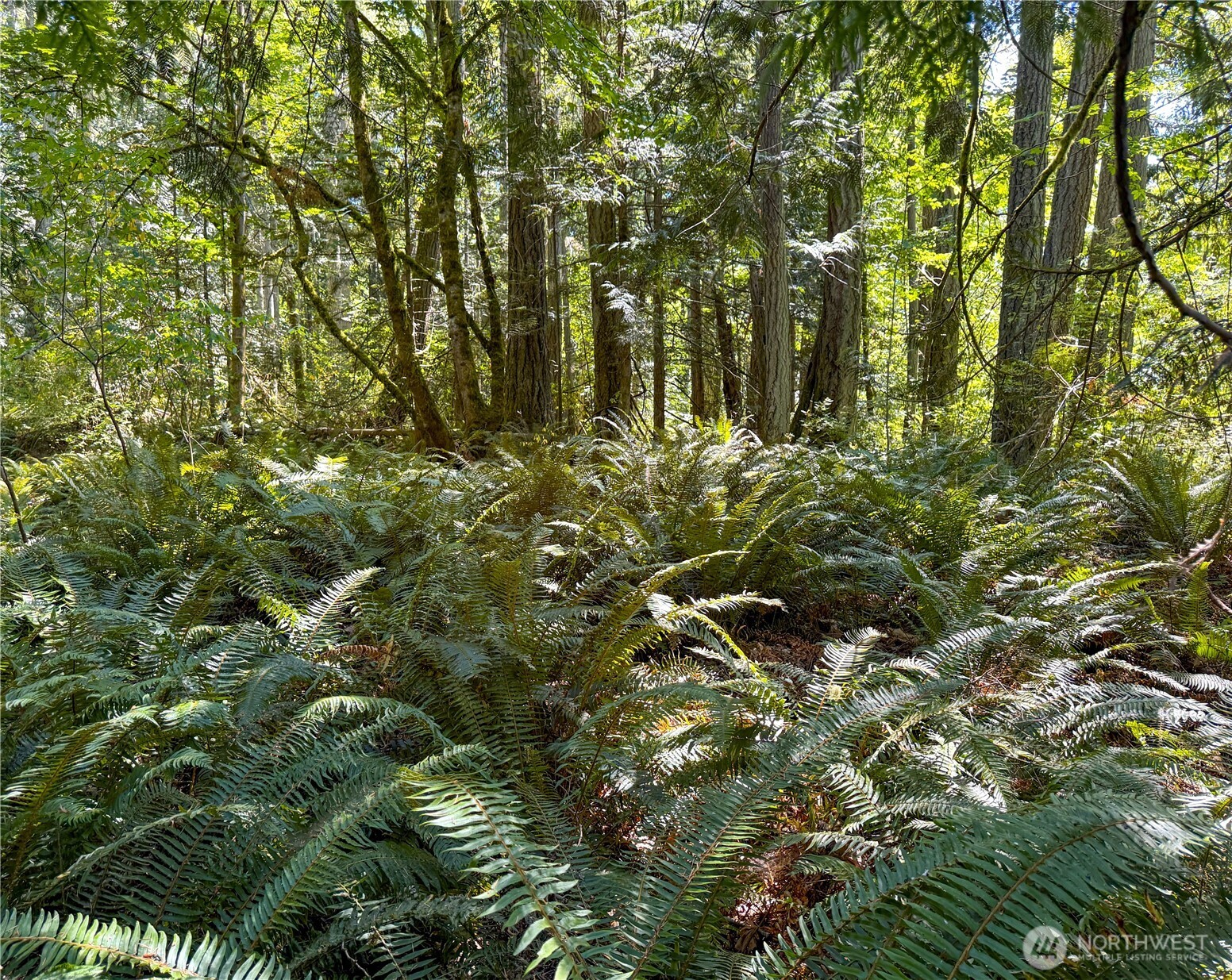 10 th Ave to Forest Rock Lane NE, Poulsbo, WA 98370