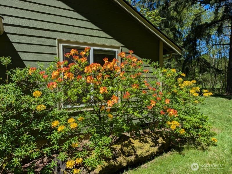 1319 Winlock Vader Road #19, Winlock, WA 98596