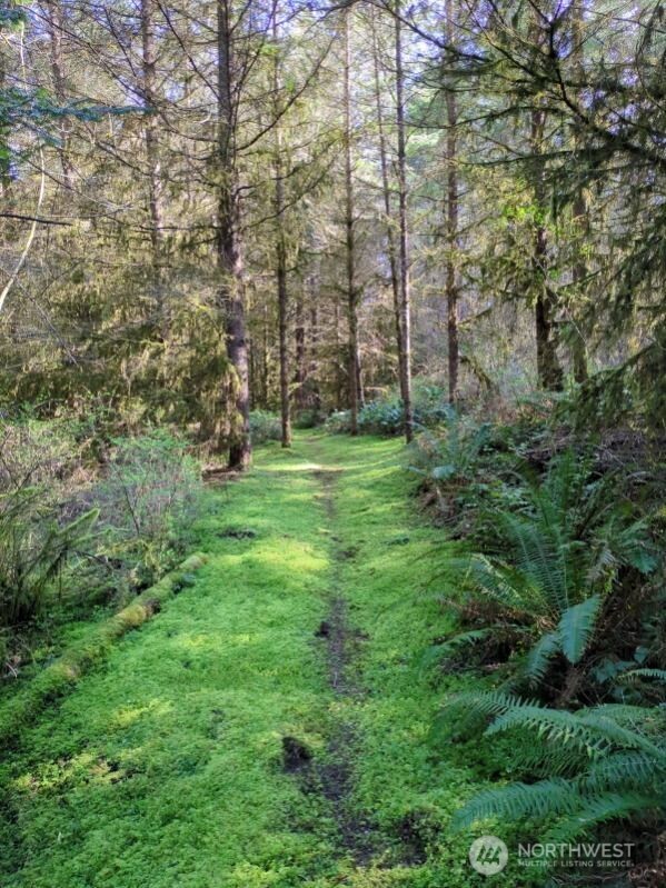 1319 Winlock Vader Road #19, Winlock, WA 98596