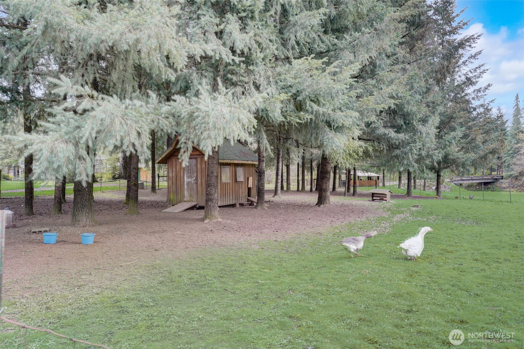 1319 Winlock Vader Road #19, Winlock, WA 98596