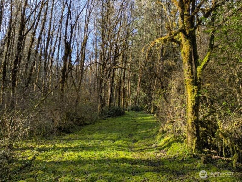 1319 Winlock Vader Road #19, Winlock, WA 98596