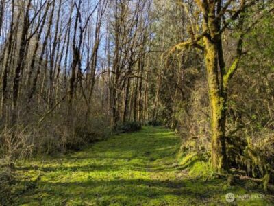 1319 Winlock Vader Road #19, Winlock, WA 98596 - Photo 26