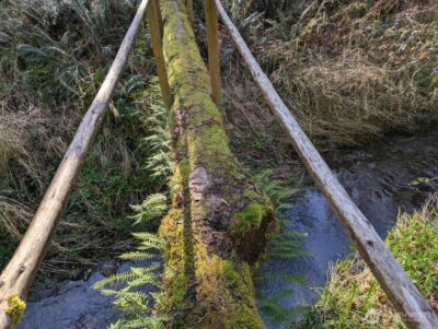 1319 Winlock Vader Road #19, Winlock, WA 98596 - Photo 30