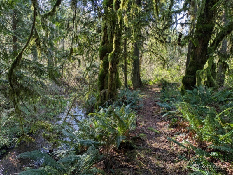 1319 Winlock Vader Road #19, Winlock, WA 98596