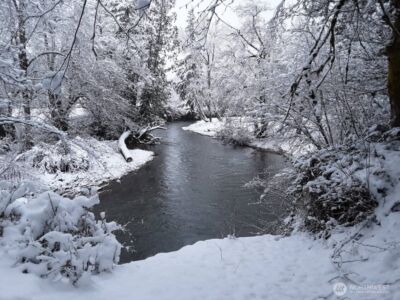 1319 Winlock Vader Road #19, Winlock, WA 98596 - Photo 32