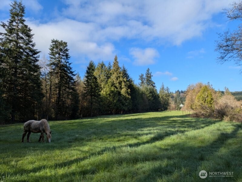 1319 Winlock Vader Road #19, Winlock, WA 98596