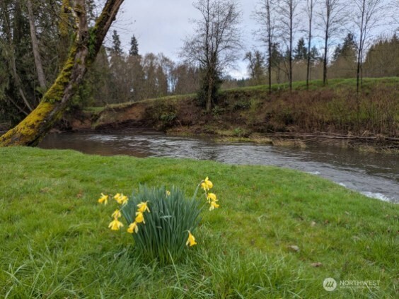 1319 Winlock Vader Road #19, Winlock, WA 98596