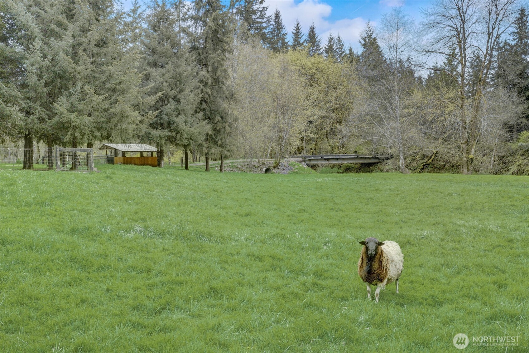 1319 Winlock Vader Road #19, Winlock, WA 98596