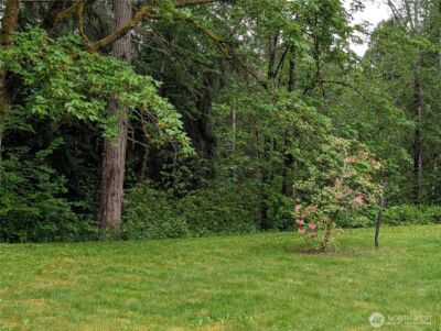 24421 Terrace Place , Black Diamond, WA 98010 - Photo 18