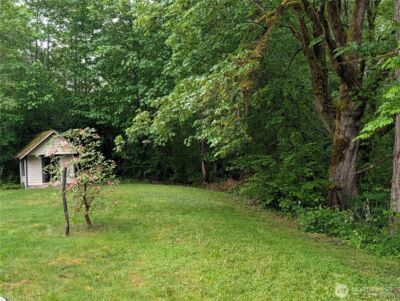 24421 Terrace Place , Black Diamond, WA 98010 - Photo 19