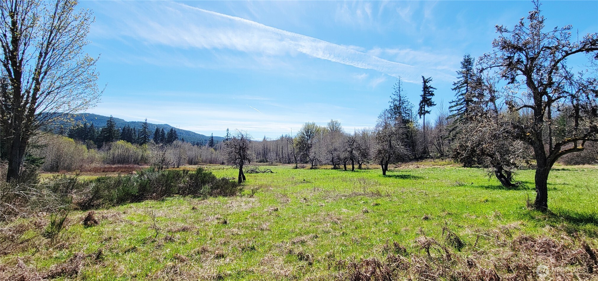 0 W Cloquallum Road , Shelton, WA 98584