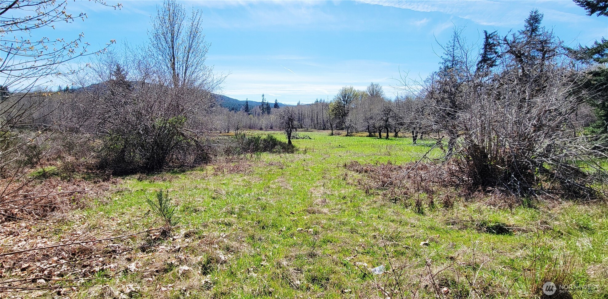 0 W Cloquallum Road , Shelton, WA 98584