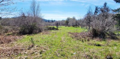 0 W Cloquallum Road , Shelton, WA 98584 - Photo 2