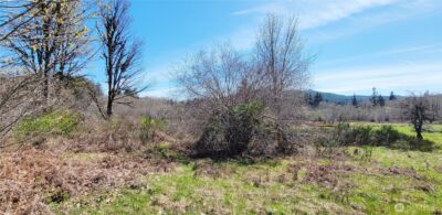 0 W Cloquallum Road , Shelton, WA 98584 - Photo 3
