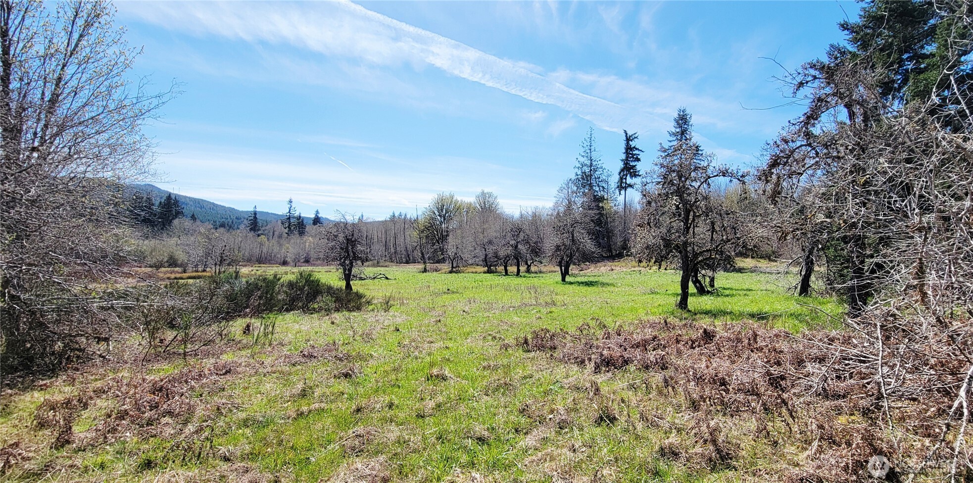 0 W Cloquallum Road , Shelton, WA 98584