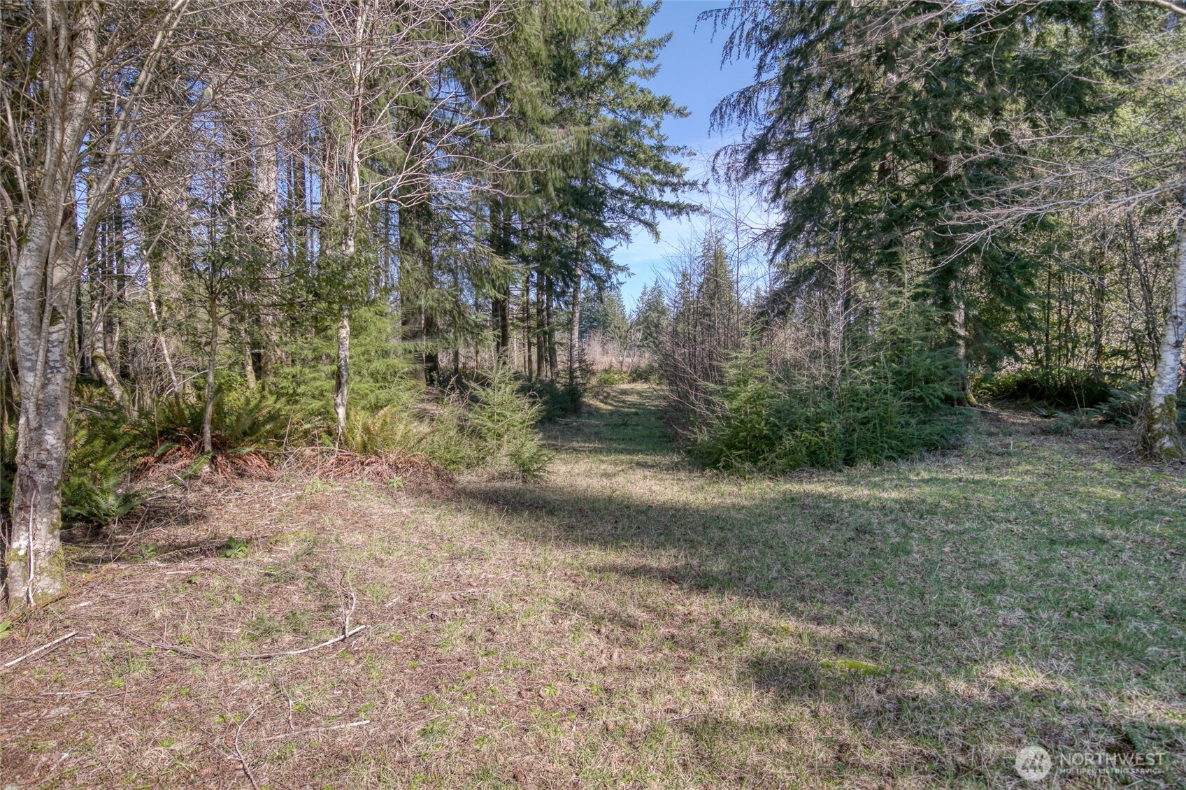 2 Groseclose Lane , Humptulips, WA 98552