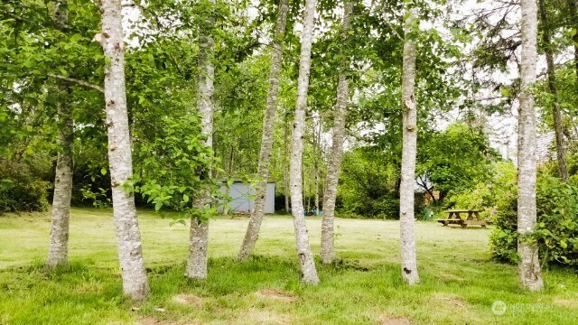 30714 N Place , Ocean Park, WA 98640