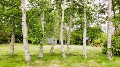 30714 N Place , Ocean Park, WA 98640 - Photo 3