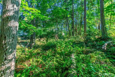 36922 6th Avenue SW, Federal Way, WA 98023