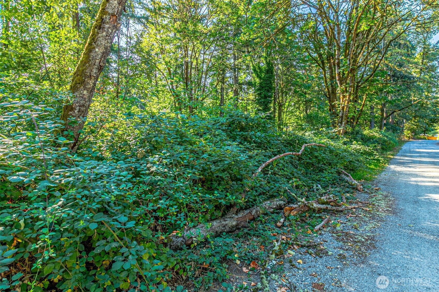 36922 6th Avenue SW, Federal Way, WA 98023