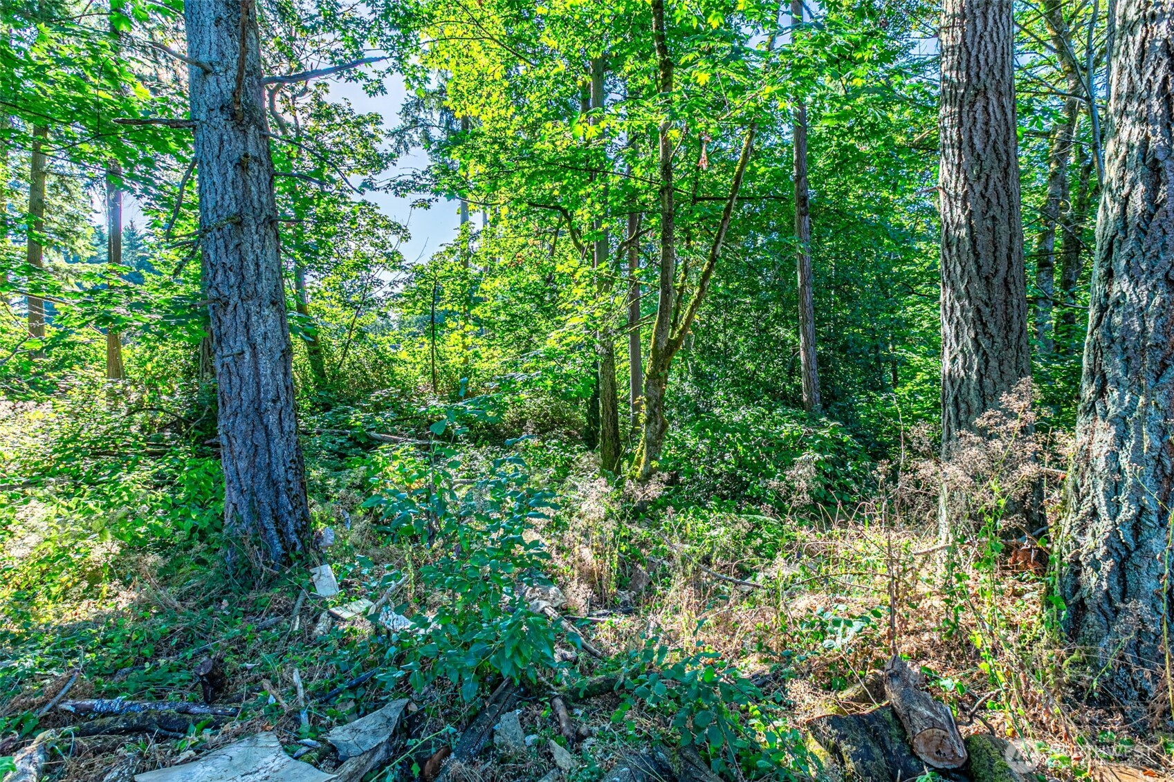 36922 6th Avenue SW, Federal Way, WA 98023