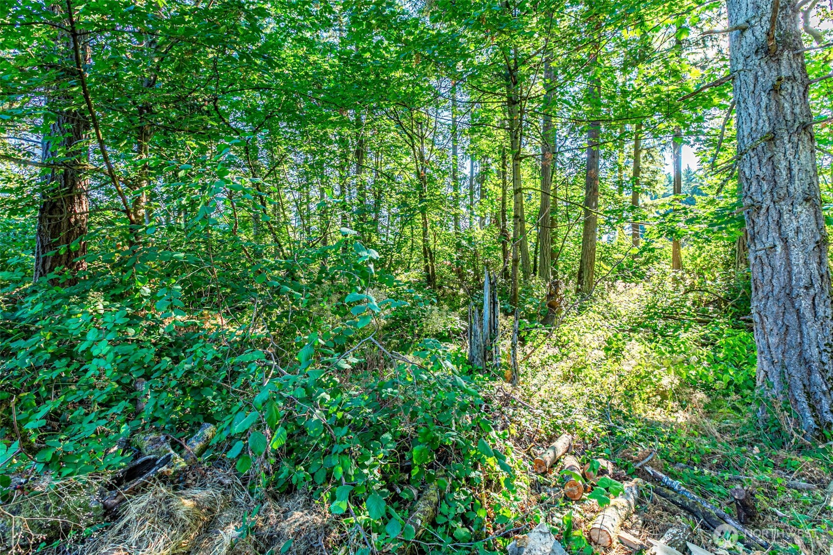 36922 6th Avenue SW, Federal Way, WA 98023