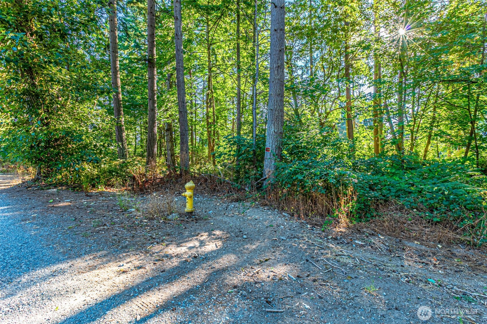 36922 6th Avenue SW, Federal Way, WA 98023