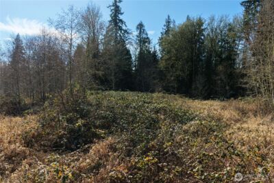 2200 Bethel Avenue , Port Orchard, WA 98366 - Photo 15