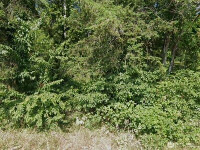 31 NE Burt Court , Belfair, WA 98528