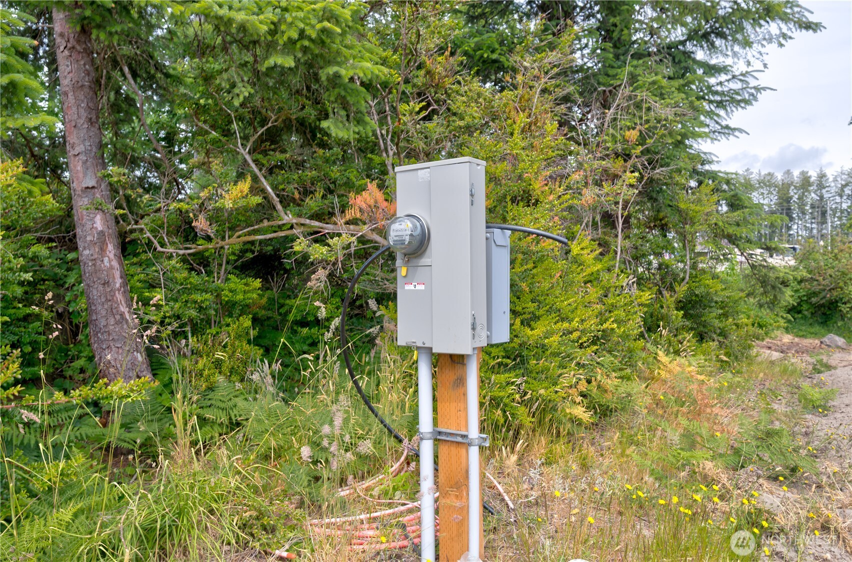 1202 234th Place , Ocean Park, WA 98640