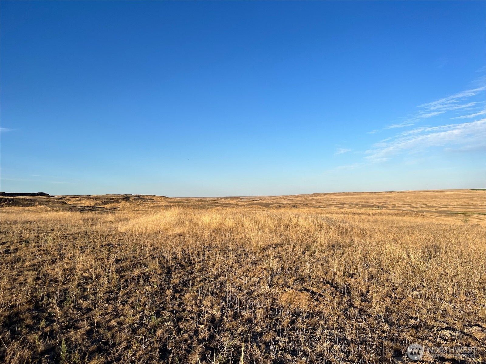 45 Eagle Springs Ranch , Wilson Creek, WA 98860