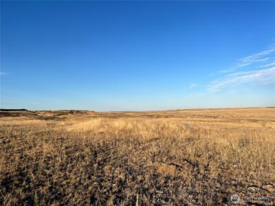 45 Eagle Springs Ranch , Wilson Creek, WA 98860 - Photo 4