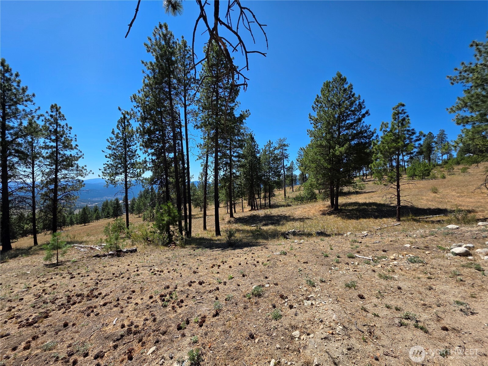 147 High Country Road , Tonasket, WA 98855