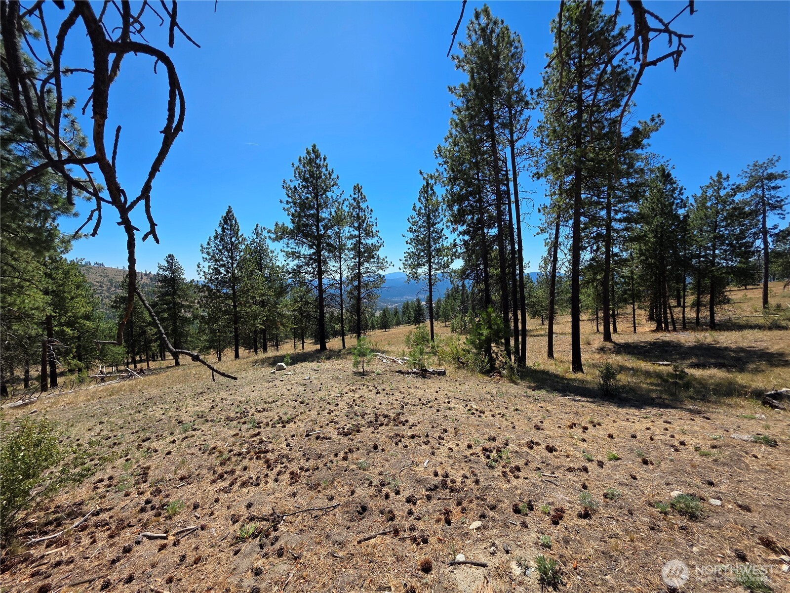 147 High Country Road , Tonasket, WA 98855