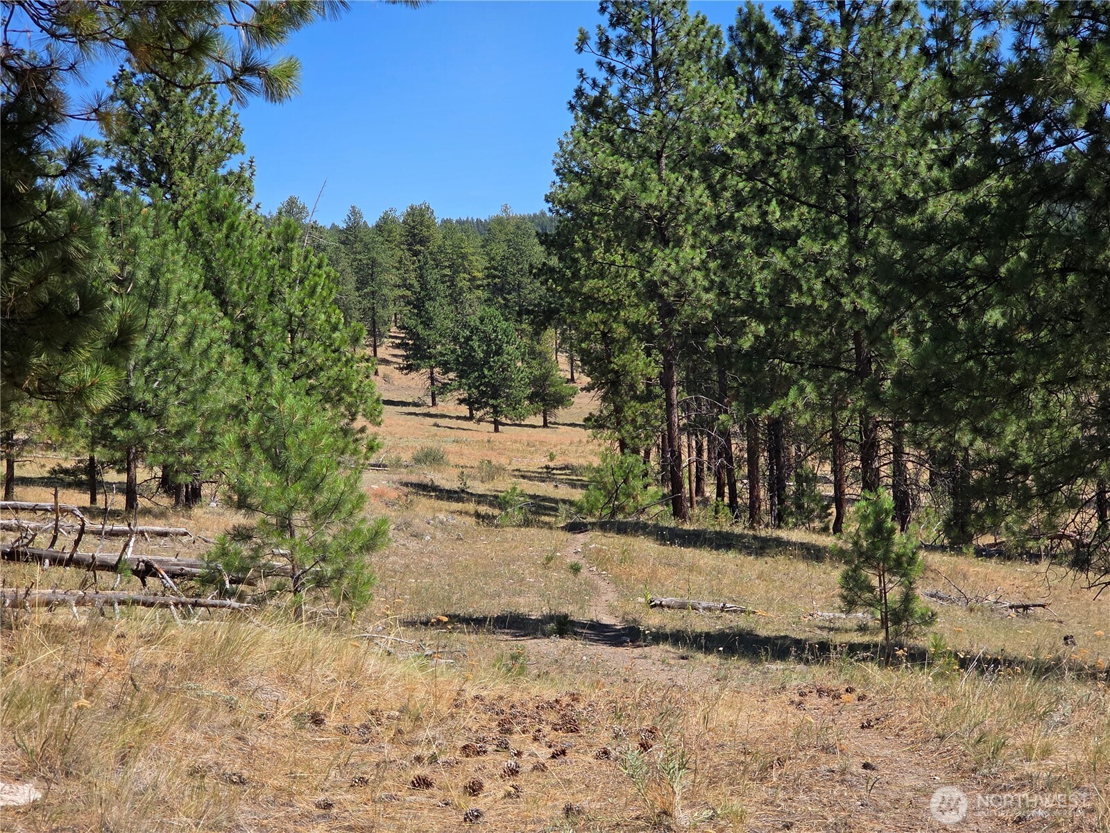 147 High Country Road , Tonasket, WA 98855