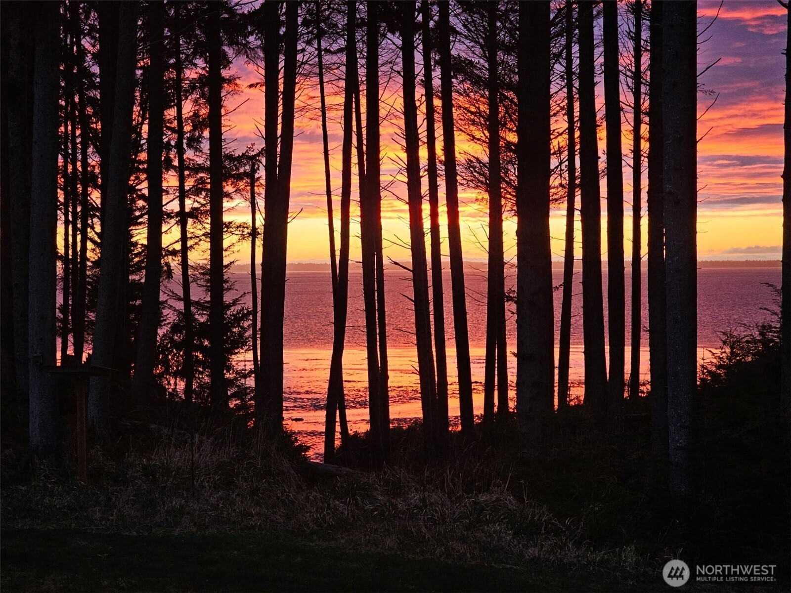 47 Willapa Sands Lane , South Bend, WA 98586