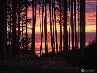 47 Willapa Sands Lane , South Bend, WA 98586 - Photo 3