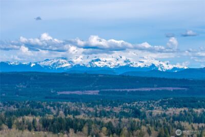 30714 118th Avenue E, Graham, WA 98338 - Photo 24