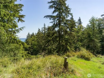 0 Sunrise Bluff Lane , Orcas Island, WA 98279 - Photo 7