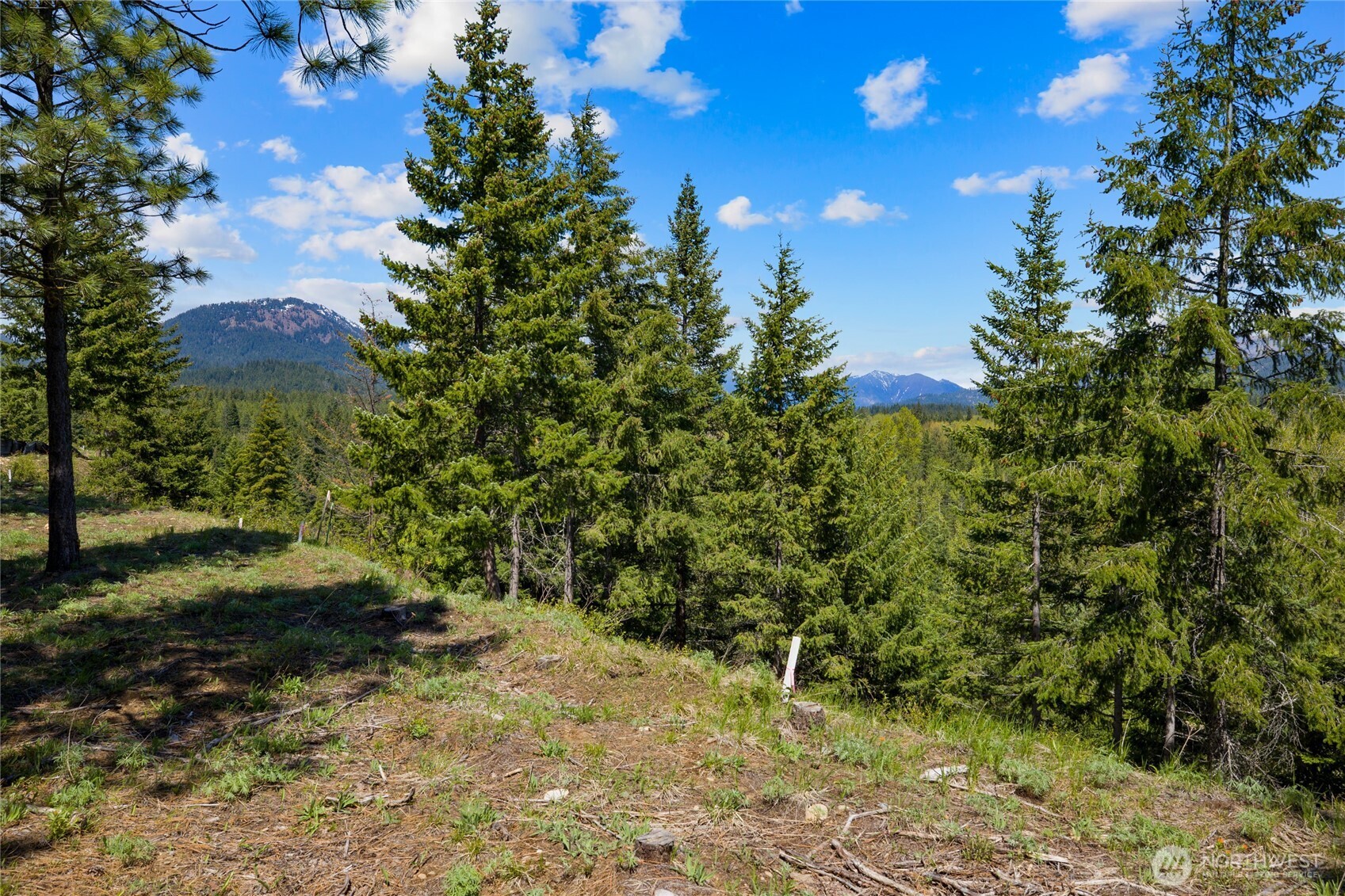 45 Gold Leaf Lane , Cle Elum, WA 98922