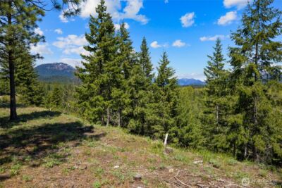 45 Gold Leaf Lane , Cle Elum, WA 98922 - Photo 11