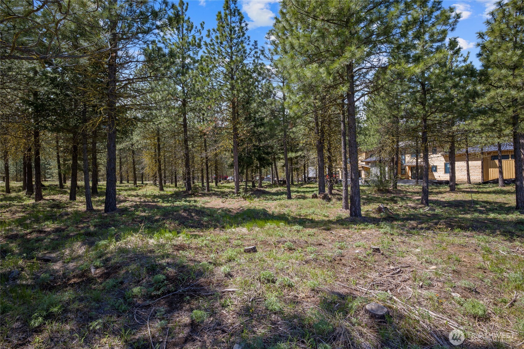 45 Gold Leaf Lane , Cle Elum, WA 98922