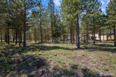 45 Gold Leaf Lane , Cle Elum, WA 98922 - Photo 13