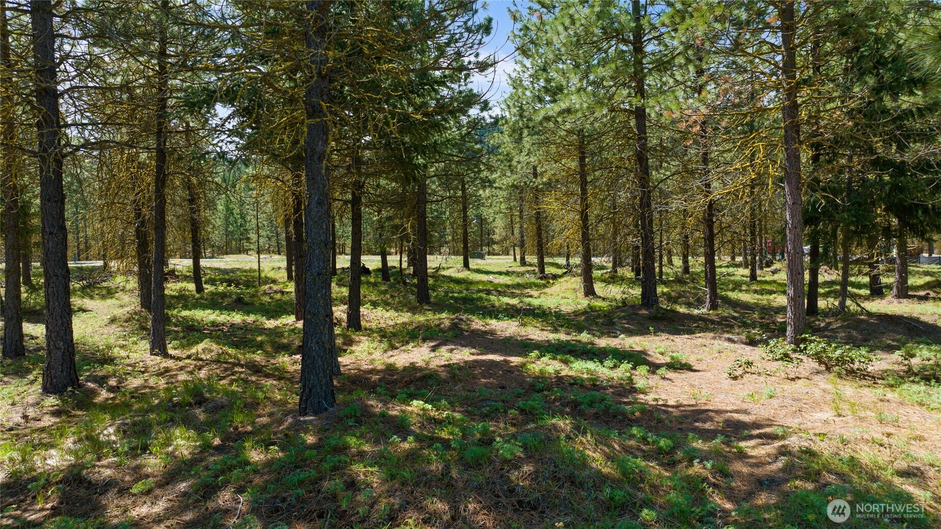 45 Gold Leaf Lane , Cle Elum, WA 98922