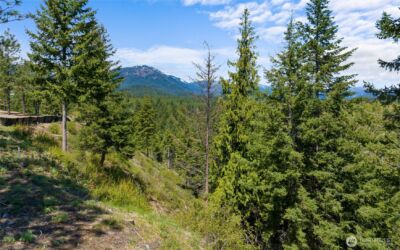 45 Gold Leaf Lane , Cle Elum, WA 98922 - Photo 5