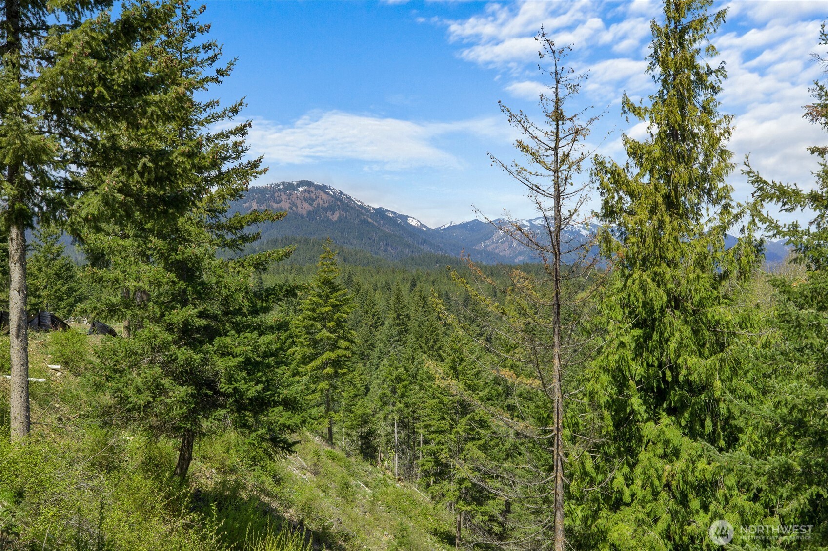 45 Gold Leaf Lane , Cle Elum, WA 98922