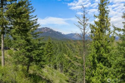 45 Gold Leaf Lane , Cle Elum, WA 98922 - Photo 6
