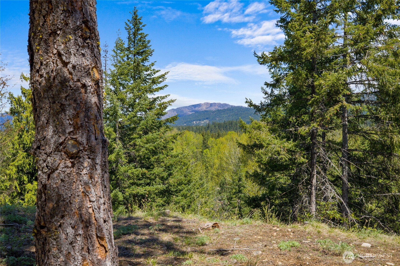 45 Gold Leaf Lane , Cle Elum, WA 98922