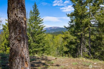 45 Gold Leaf Lane , Cle Elum, WA 98922 - Photo 7