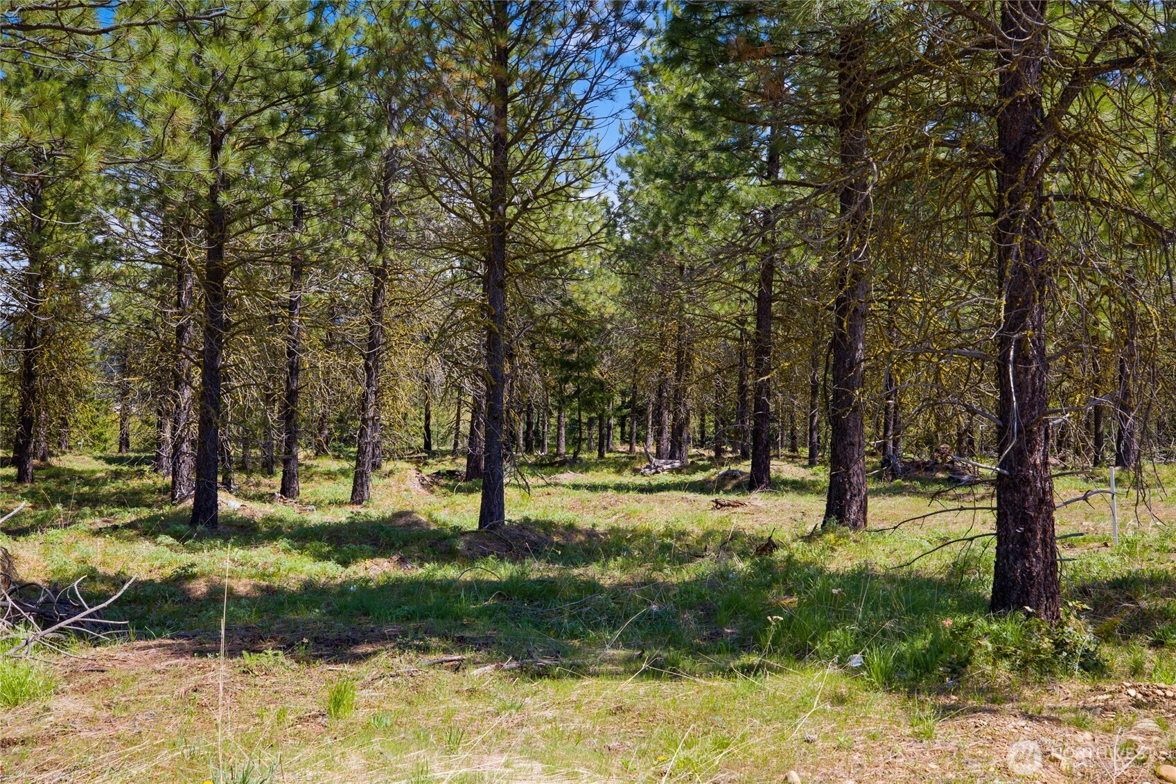 45 Gold Leaf Lane , Cle Elum, WA 98922